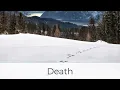 Death Dr Wayne Dyer