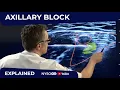 Axillary Brachial Plexus Block - Regional anesthesia Crash course with Dr Hadzic