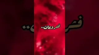 عرسي درته بالنڨافات اغاني 