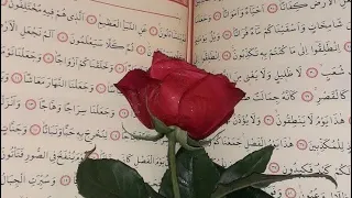 الرقية الشرعية بصوت القارئ حسام المعصبي شفاء من كل دائ بإذن الله 