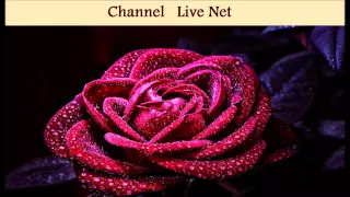 محمد عبده كافي الليالي 