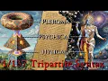 Tripartite Cosmosis Fine Structure Constant Gnostic Vedic Vertical Ascent from Horizontal Thought