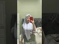 YANG VIRAL DI TWITTER