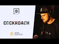 Download Lagu Cockroach - Darkshire In The Woods 2021 | Drum and Bass