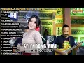 Download Lagu Difarina Indra Selendang Biru - LDR Om. Adella Full Album Terbaru 2024 Video Klip
