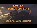 How to the Black Ant Queen in Grounded