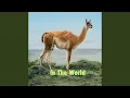 In The World
