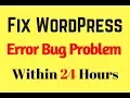 I Will Fix Wordpress Php Html Css Error Bug 24 Hours Fiverr WordPress Expert