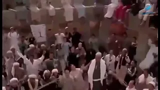 توت توت توت شد حيلك يا كتكوت   محمد سعد دندنها