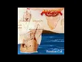 Download Lagu 1996 - ANGRA - Freedom Call  (Full EP)
