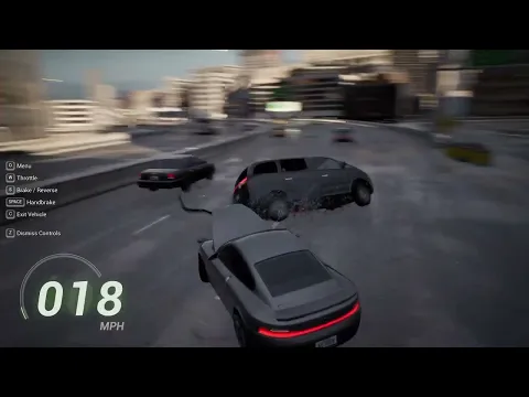 The Video