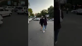 کرک و پشم پلیس ریخت   دندنها