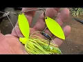 When A Painted Bladed Spinnerbait Outfishes ANY Other Lure