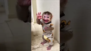 كم مره اوكي 