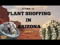 PLANT SHOPPING IN AZ EP - Plants for the Southwest nursery