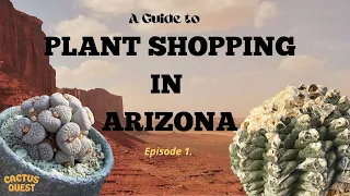 PLANT SHOPPING IN AZ EP - Plants for the Southwest nursery