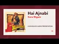 Lagu Hai Ajnabi - Maharaja | Sonu Nigam | Bollywood 90's Songs | HD Audio
