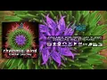 Download Lagu Rhythmic Wind: Fractal Journey