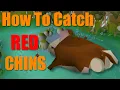 How to Hunt Red Chinchompas in 2 Minutes Or Less osrs