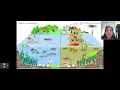 PPT 8 5 Eutrophication APES