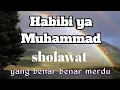 Habibi ya Muhammad lirik cover lagu sholawat nabi terbaru