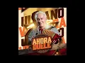 Ulpiano Vergara - Ahora Te Duele