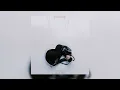 Jasmine Sokko 楚晴 “BURNOUT DYNASTY” Audio