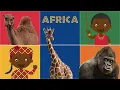 Explore AFRICA Desert Savanna and Rainforest - African Animals and Tribes