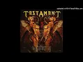 Testament - Down for Life - (3D Sound)