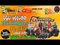 Download Lagu Shaa Fm Sindu Kamare Nonstop 2024 | Flamingoes Nonstop | Sinhala New Nonstop Collection | @Bsmusic