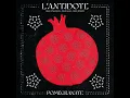 Pomegranate (feat. Bijan Chemirani, Redi Hasa & Rami Khalife) - L'Antidote