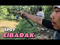 Lagu Eps2.Akhirnya Kang Sudar Jadi Penyelamat Pertarungan Di Spot Cibadak Padaherang