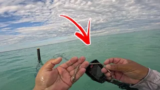 INCREÍBLE LO QUE PIERDEN LOS TURISTAS…