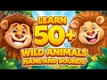 Download Lagu Learn animals names and sounds | animal names in english with pictures |Guess the animal|Wild Animal