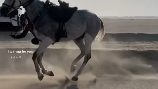 ونين بدوي طايح من ضهر ناقه وكسر عظم ساقه Explore Trend Fyp راشد الماجد خيل لاتزرفف 