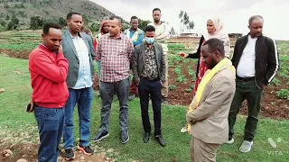 Bulchiinsa Godina Harargee Bahaatti 