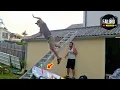 Download Lagu TOTAL IDIOTS AT WORK 2025 - Instant Regret Fails Compilation | Funniest Fail video. #84