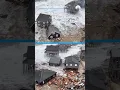 Houses collapse into ocean as hurricanes rumble in Atlantic along North Carolina NBC4 Washington