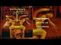 Testament - Down For Life