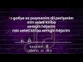 Lagu karaoke (rebeno lo dilo) alis yaşar #music #karaoke