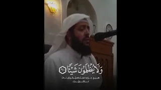فخلف من بعدهم خلف أضاعوا الصلاة الشيخ وديع اليمنى 