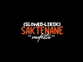 Download Lagu SAKTENANE Vadesta (𝙎𝙡𝙤𝙬𝙚𝙙+𝙇𝙞𝙧𝙞𝙠)🥀
