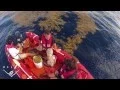 Big changes in the Sargasso Sea