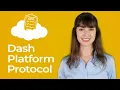 What is Dash Platform Protocol DPP Dash Platform