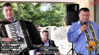 george nicoloiu si neluta bucur colaj de hore i s rbe de petrecere la pechea 2020