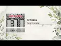 Download Lagu Anie Carera - Terluka