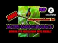 Download Lagu masteran jeritan kuntilanak