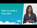 How to write a fuzz test Demo