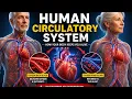 The Amazing Human Circulatory System 40-Second Medical Animation Please visit My TikTok accoun