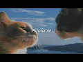 Acicálame [Letra] - Tessa Ia